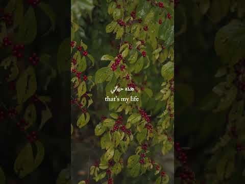  اغاني أغاني أجنبيه اغنية اغنية اجنبية مترجمة اغاني اجنبية اغنية اجنبية