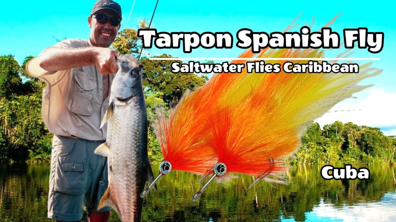 Fly Tying Tarpon Spanish Fly. Montaje mosca Tarpon. Saltwater Flies  Caribbean Cuba. 