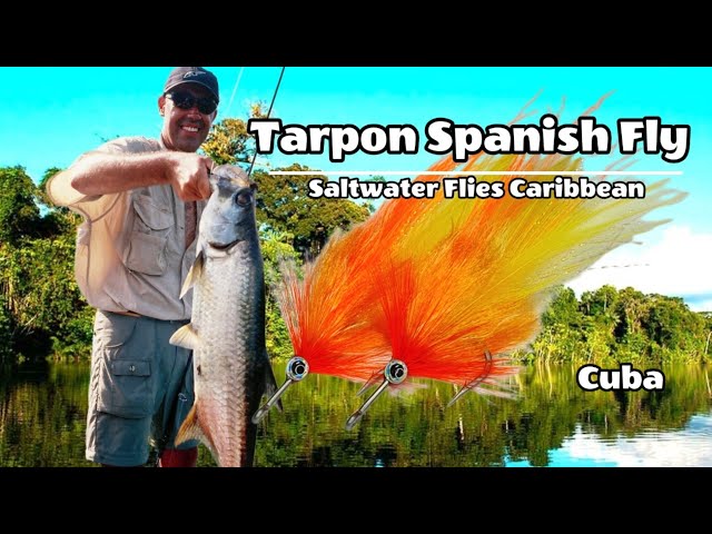 Fly Tying Tarpon Spanish Fly. Montaje mosca Tarpon. Saltwater