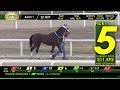 Tampa Bay Downs Live Stream