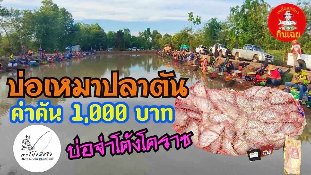 #ชิงหลิวบ่อเหมา ปลาตัน 1,000 บาท มันส์แน่นอน งานนี้มีหาบ