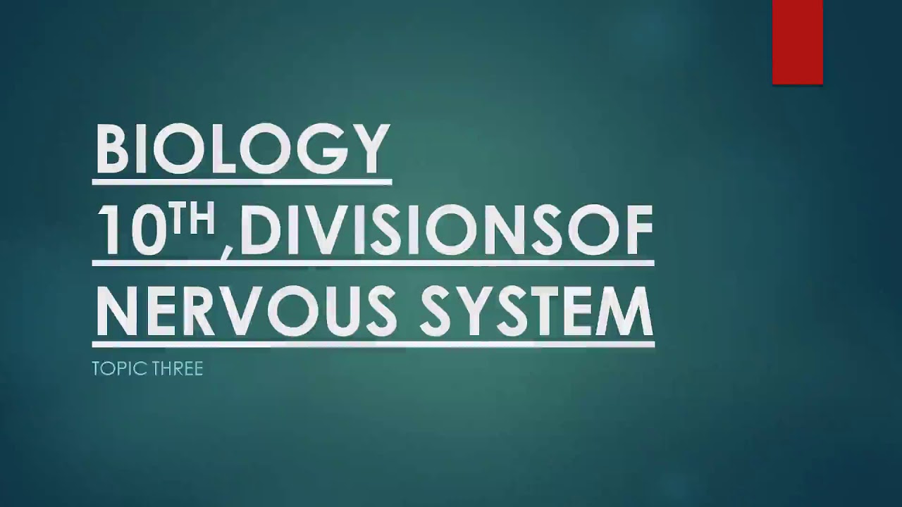 Biology Class 10 Topic Divisions of Nervous System - YouTube