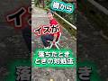 橋からイスが落ちたときの対処法🪑#shorts