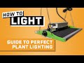 Daily Light Integral Explained The BEST Way To Measure Plant Lighting For Hydroponics