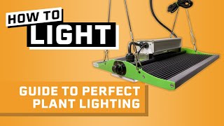 Daily Light Integral Explained  The BEST Way to Measure Plant Lighting for Hydroponics