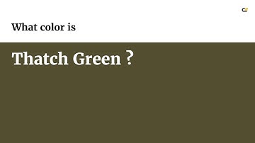 Thatch Green color #544e31 hex color - Yellow color - Cool color 544e31