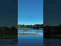 #nature