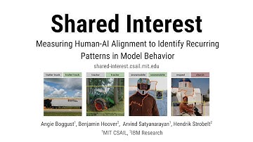 Shared Interest: Measuring Human-AI Alignment to Identify Recurring Patterns of Model Behavior (CHI)