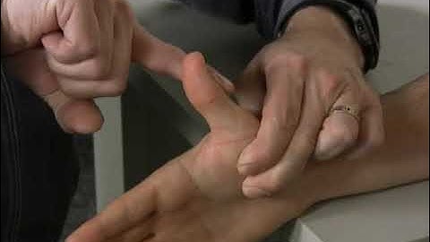 MMT Group Thumb Metacarpophalangeal (MCP) joint Extension