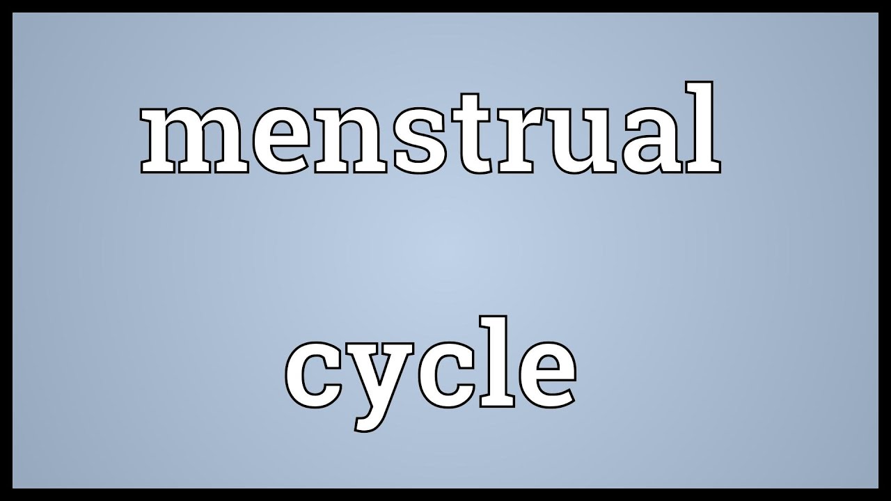 Menstrual cycle Meaning