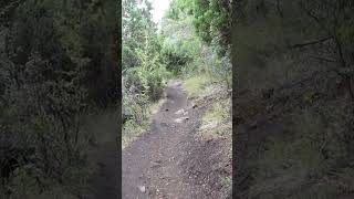 ¿Conocen la Cabeza del Indio en el Bolsón? #shorts #corto #ríonegro #elbolsón