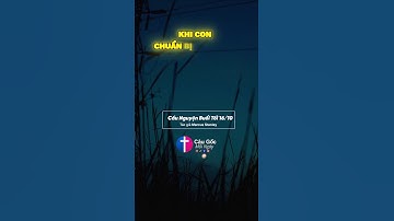 Cầu nguyện buổi tối 16/10 Tác giả 𝗠𝗮𝗿𝗰𝘂𝘀 𝗦𝘁𝗮𝗻𝗹𝗲𝘆 Biên tập Câu Gốc Mỗi Ngày