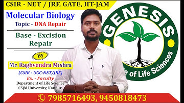 Molecular Biology-DNA Repair, Base excision repair, #CSIR, #JRF, #GATE, #DBT, #ICMR #JNU PhD