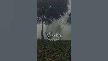 استغفرالله✨ #صوت_جميل #راحة_نفسية #القرآن_الكريم #خشوع #آيات #قراءة_قرآن #تلاوة #اسلاميات