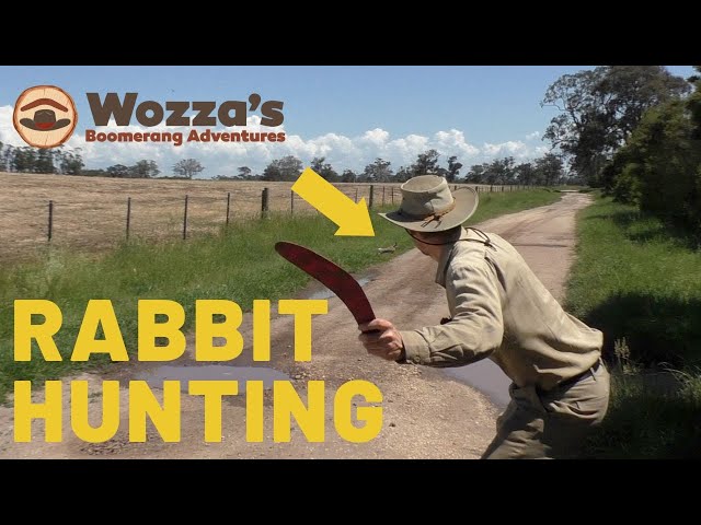 Hunting for Rabbits Aussie Style! class=