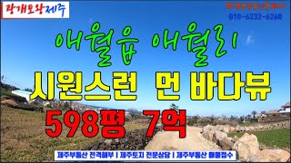539. [제주도토지] 애월하나로마트 인근  시원스런 먼 바다뷰 ㅣ 전면도로에 길게 접해 분할하기 좋은 조건ㅣ 인근 전원주택 다수