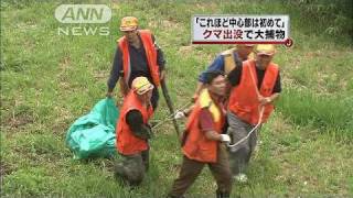 住宅街にクマ出没で大捕物　岩手・盛岡市（10/06/27）