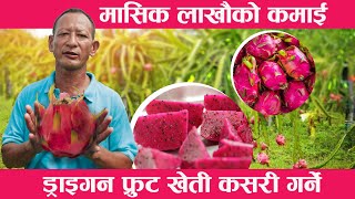 लाखौ कमाउन सकिने dragon fruit को खेति dragon fruitको खेति कसरि गर्ने ll dragon fruit in Nepal