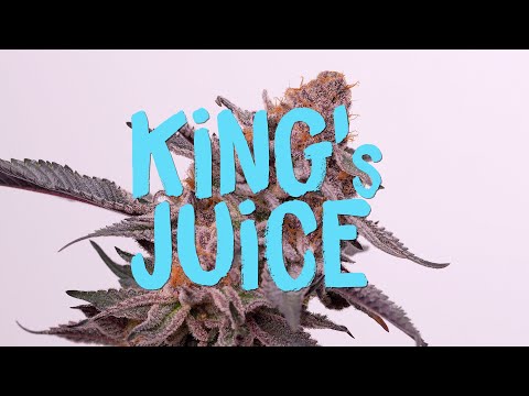 Green House Seeds Green House Seeds Cannabis Samen Genetik