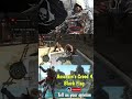 This Fight Got Out of Control 💀 #shorts #viralshorts #assassinscreed4blackflag