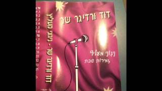 Video thumbnail of "קדשינו במצוותיך - דוד ורדיגר שיר ניגוני מעליץ David Werdyger sings Niguney Melitz - Kadsheynu"