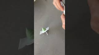 Ercream Kaktüs Yapımı 2