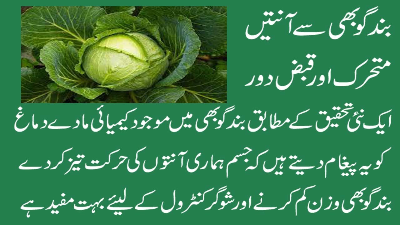 Health Benefits of cabbage Nutritional and Medicinal Benefits of