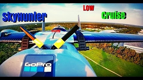 Tree Top FPV │Big SkyHunter ♦ FrSky L9R Low Cruise