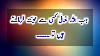 Most Precious Quotes In Urdu Part 25 | Life Changing Quotes | Urdu Aqwal E Zareen About ALLAH