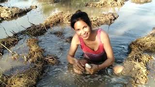 Amazing beautiful girl Fishing in the field - How to Catch Fish at battambang ( part 19)