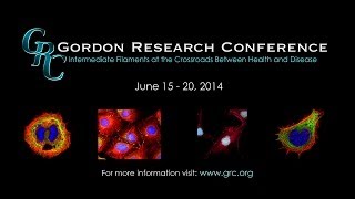 Intermediate Filaments: More than structural proteins - Gordon Research Conferences 2014 - BIMA2014