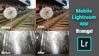 Mobile Lightroom app ( Sinhala ) screenshot 1
