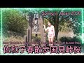 Sexy Sawako's Spring Stroll: Cherry Blossoms at Kunimi Pass