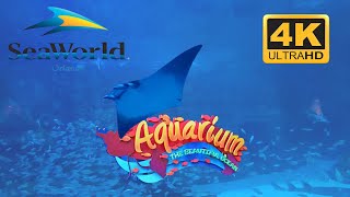 Explore the Depths Manta Aquarium 4K Video SeaWorld Orlando