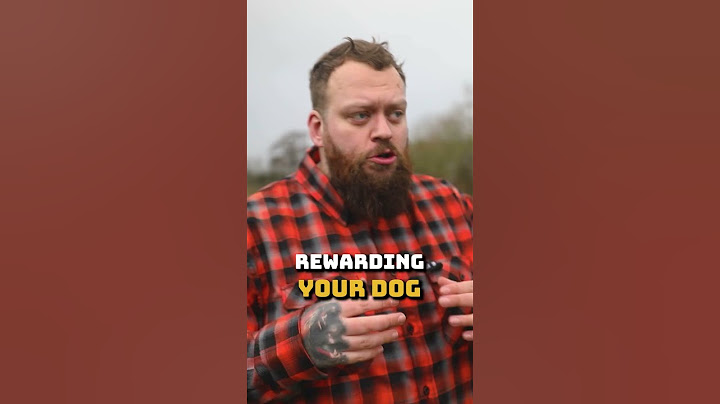 I Would Never Teach My Dog This Trick