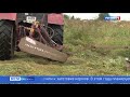 В сельхозхозяйствах Смоленской области приступили к заготовке кормов
