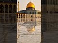 Kaash Main Yaaro Falasteen Ka Basi Hota 🕌💔 | Al Aqsa Emotional Naat 🤲 #shorts