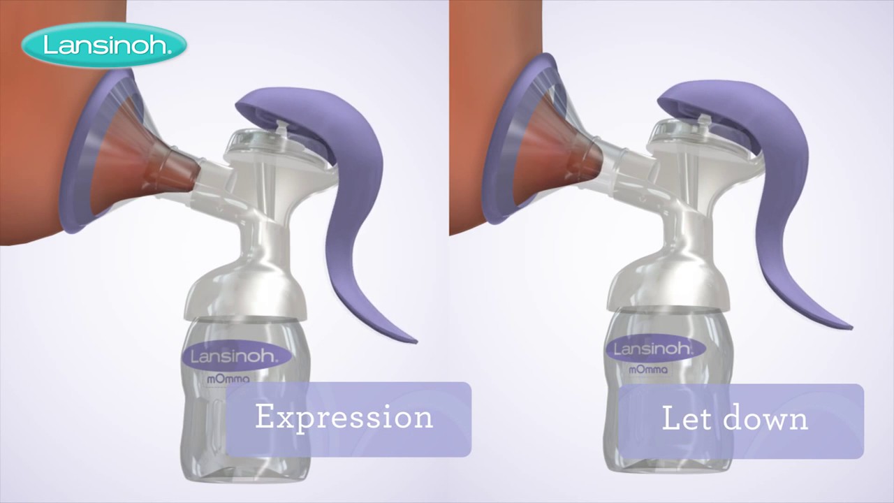 Lansinoh Manual Breast Pump How to Use - YouTube