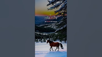 #اكسبلور #لايك #تيك_توك #qoran_karim #قران_كريم #سورة يوسف