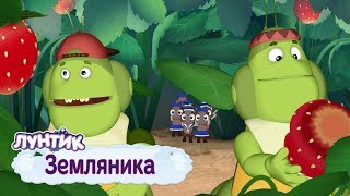 Земляника 🍓 Лунтик 🍓 Сборник мультфильмов 2019