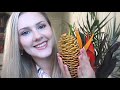 Shampoo Plant 🌿 ASMR 🌿 Crinkly / Tapping / Soft Spoken