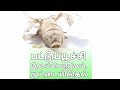 பட்டுப்பூச்சி முட்டையிடும் அரிய காணொளி/ silkworm Egg laying Unseen video