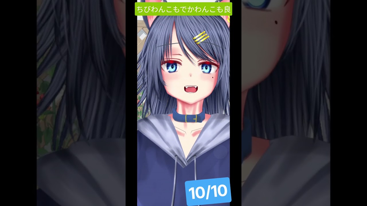 10/10のやーつ #ダキ君参拝 #vtuber #shorts