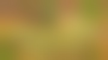 Schedule 1 Game How to Cook Meth