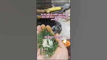 घर का कोई भी व्यक्ति अगर आदर नहीं करता तो शमी पत्र का यह उपाय जरूर करें#upay#pradeepmishra#shiv#yt