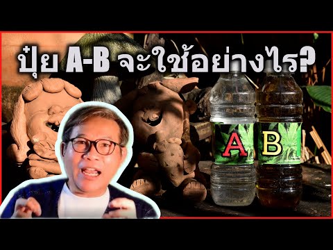 เทคนิคการใช้ปุ๋ยA-B แบบวิศวะ