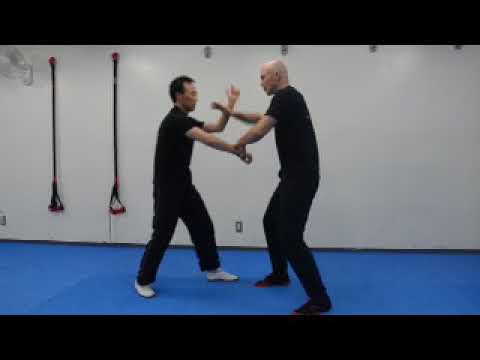 詠春拳（「月刊秘伝」2018年7月号特集「南派拳術」） - YouTube