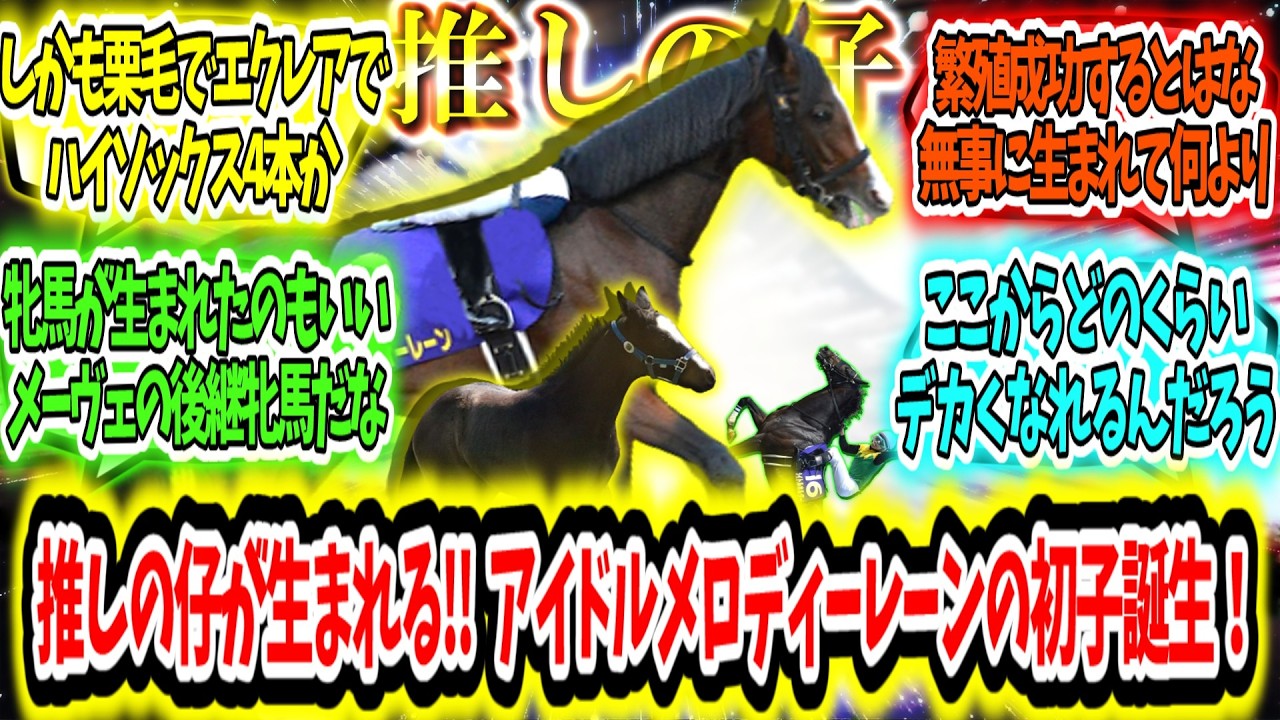 『推しの仔がついに生まれる‼ アイドルホースメロディーレーンの初子誕生！』に対するみんなの反応【競馬の反応集】