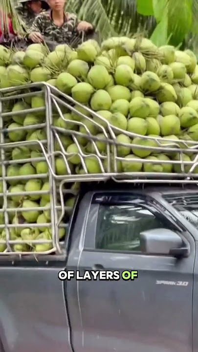 Pickup Trucks Thailand Style #dndx1