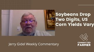 Soybeans Drop Two Digits, US Corn Yields Vary